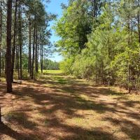 Old happy Farm - Tract 1 images 5