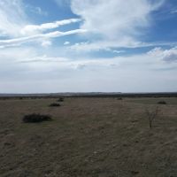 Price Reduction 12.504 Acres Taylor County Tract 14 images 1