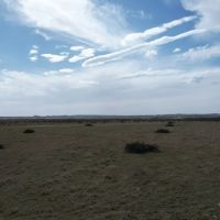 Price Reduction 12.504 Acres Taylor County Tract 14 images 2