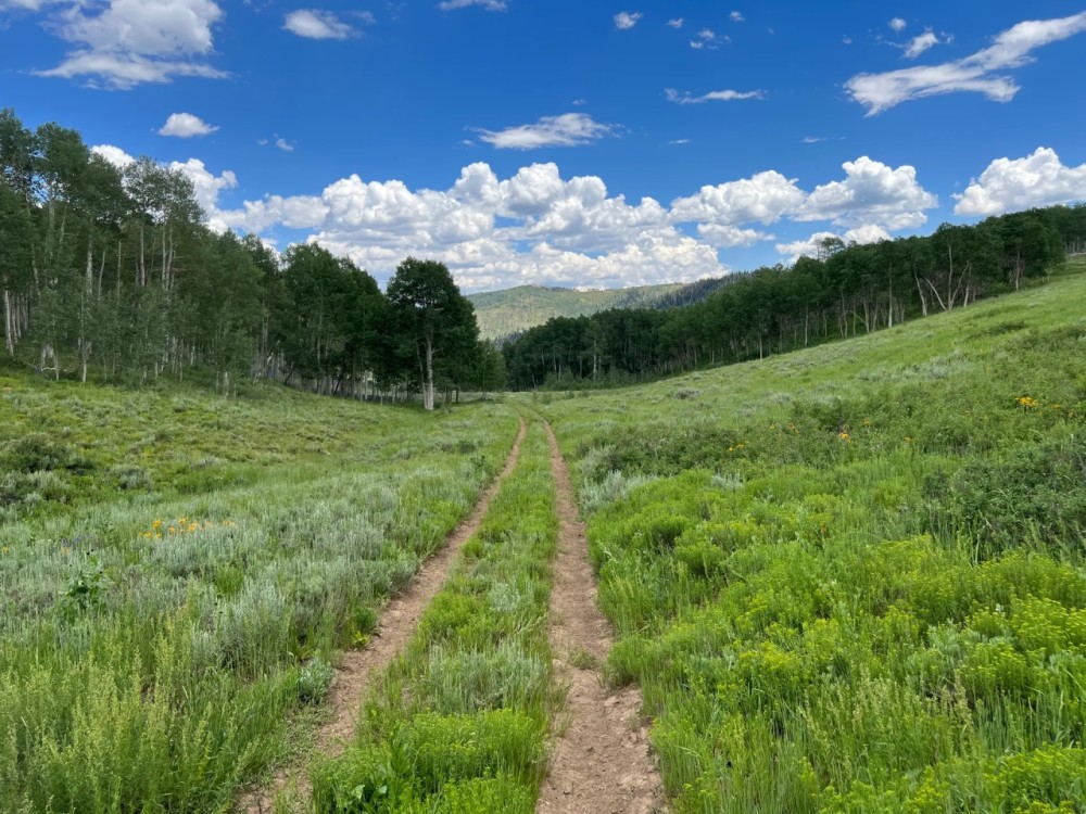 Cabin Hollow Ranch featured image