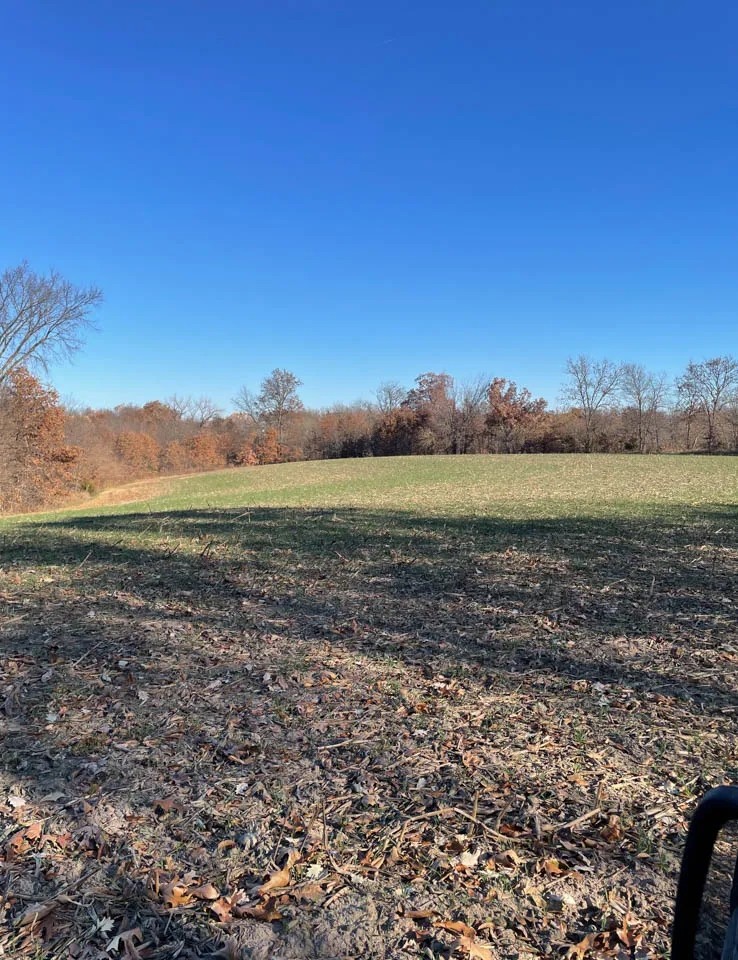 Adams County Illinois 40 Acres For Sale featured image