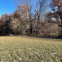Adams County Illinois 40 Acres For Sale images 4