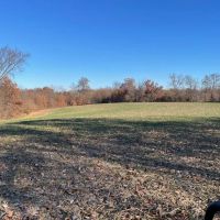 Adams County Illinois 40 Acres For Sale images 5