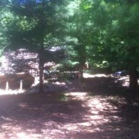 18 acres Blue Creek Ohio