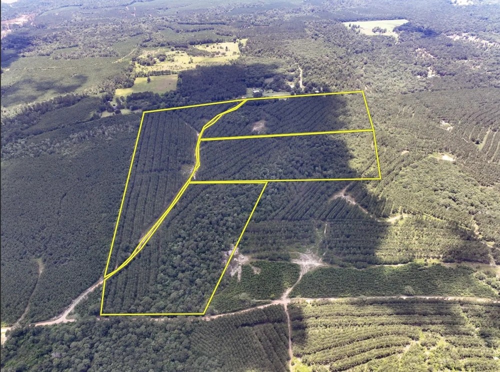 28 Acres CR 1425 T-9 featured image