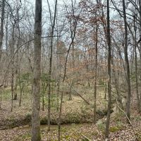 53 acres - near Camden AL