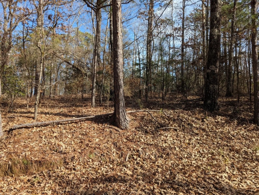 3 A in Elmore County near Equality featured image