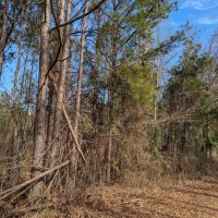 3 A in Elmore County near Equality images 2