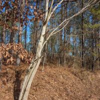 3 A in Elmore County near Equality images 3
