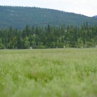 Ashby Creek Ranch images 3