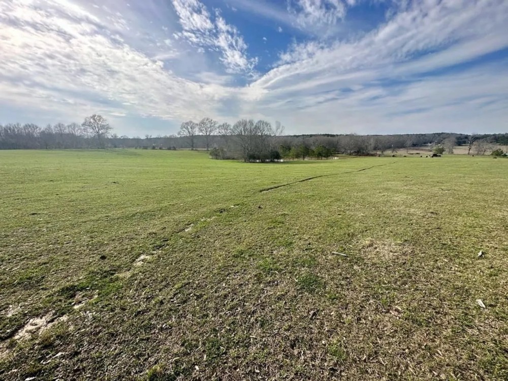 Pastureland for Sale in Kentwood LA featured image