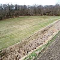 13.76 - ACRES REMINGTON IN JASPER COUNTY LAND FOR SALE images 3