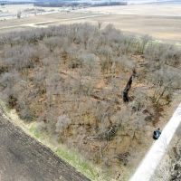 13.76 - ACRES REMINGTON IN JASPER COUNTY LAND FOR SALE images 4