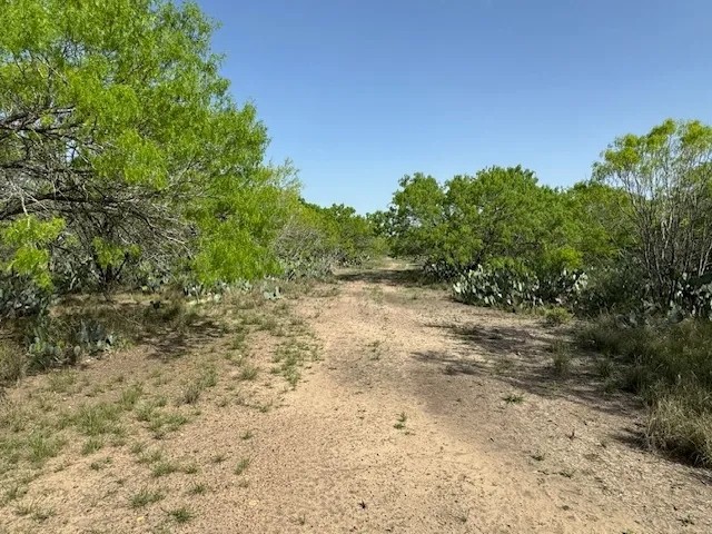 820 County Road 329 featured image