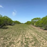820 County Road 329 images 3