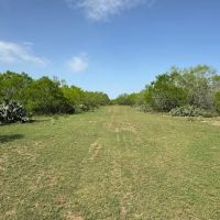 820 County Road 329 images 4