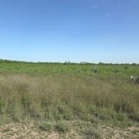 820 County Road 329 images 5