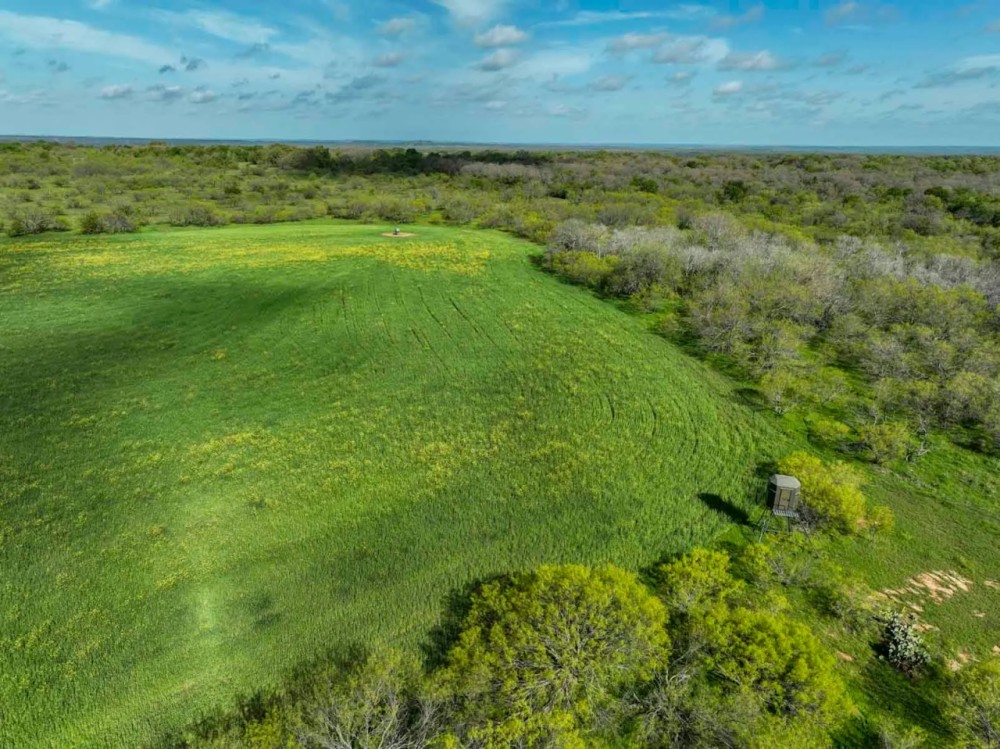 Scattered Oak Ranch featured image
