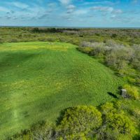 Scattered Oak Ranch