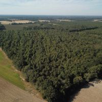 LA - Franklin 60.40 acres -