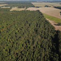 LA - Franklin 60.40 acres - images 5