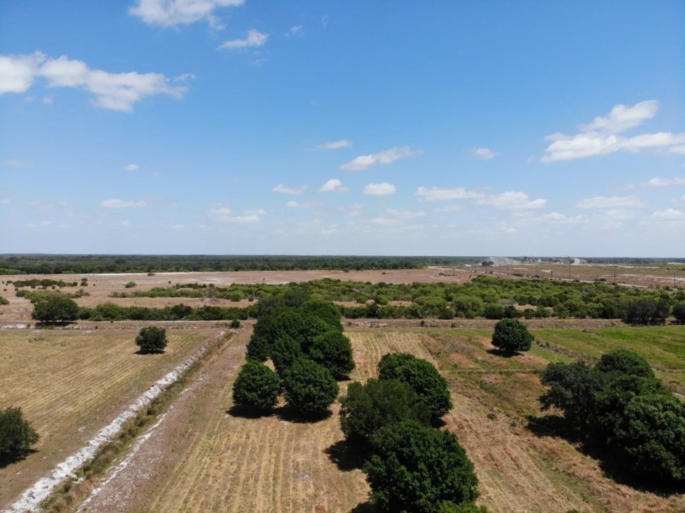 197 acre Ranch Farm in Myakka City Florida featured image