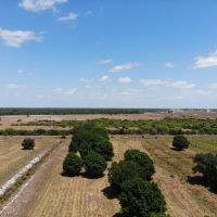 197 acre Ranch Farm in Myakka City Florida