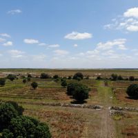 197 acre Ranch Farm in Myakka City Florida images 2
