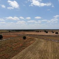 197 acre Ranch Farm in Myakka City Florida images 3