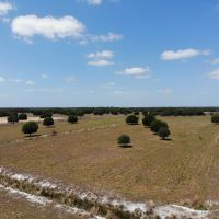 197 acre Ranch Farm in Myakka City Florida images 4