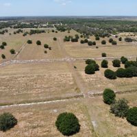 197 acre Ranch Farm in Myakka City Florida images 5