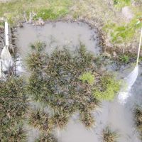 108 Acres Land for Sale Iberia Parish LA