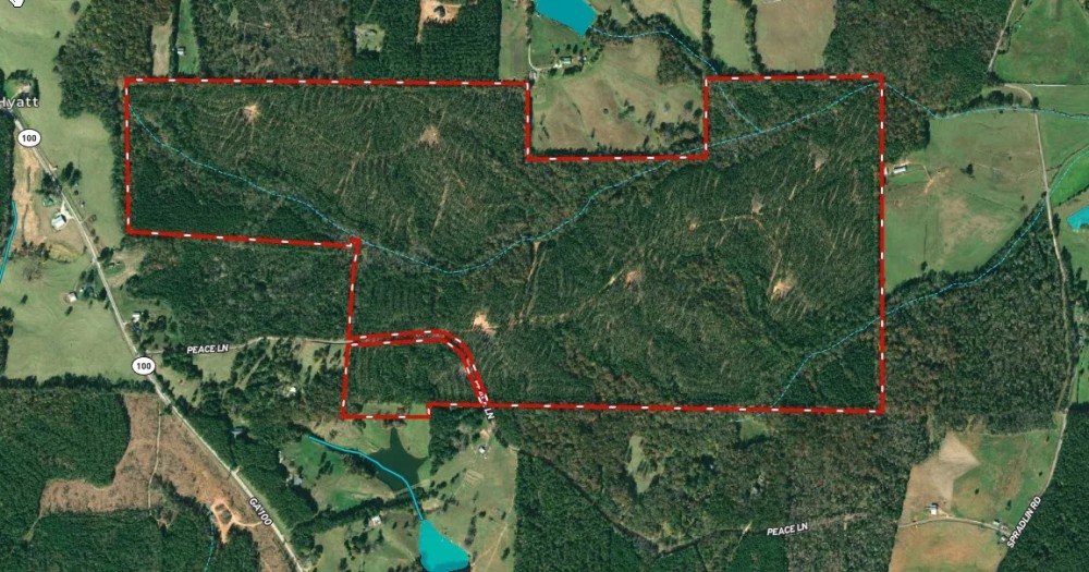 Timber Tract Central Heard County featured image
