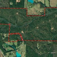 Timber Tract Central Heard County