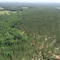 Timber Tract Central Heard County images 3