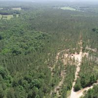 Timber Tract Central Heard County images 4