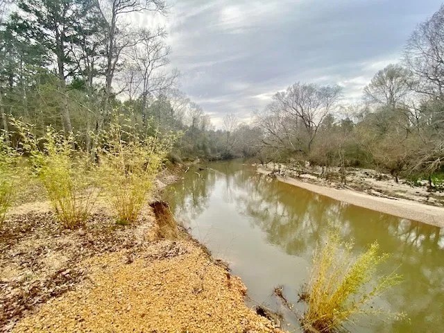 24.11 Acres Bogue Chitto River Frontage Pike Co featured image