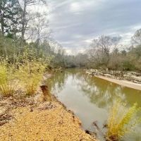 24.11 Acres Bogue Chitto River Frontage Pike Co