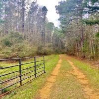 24.11 Acres Bogue Chitto River Frontage Pike Co images 2