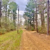24.11 Acres Bogue Chitto River Frontage Pike Co images 5