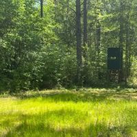 140 - Acre Timber Recreational Land Geneva County AL