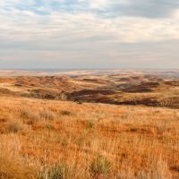 Turley Ranch images 4