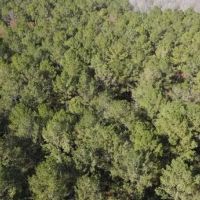 46 Acres in Copiah County in Wesson MS