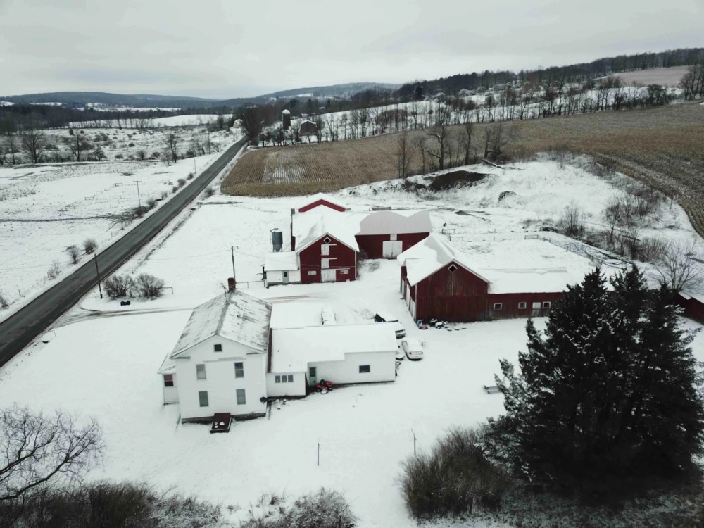 203 acre Finger Lakes Farm with House Barns and Fenced Pastures in Cortland NY 842 Cutler School House Road featured image