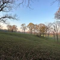 531 Acres Hunting Land Camp Lake for Sale SW MS images 3