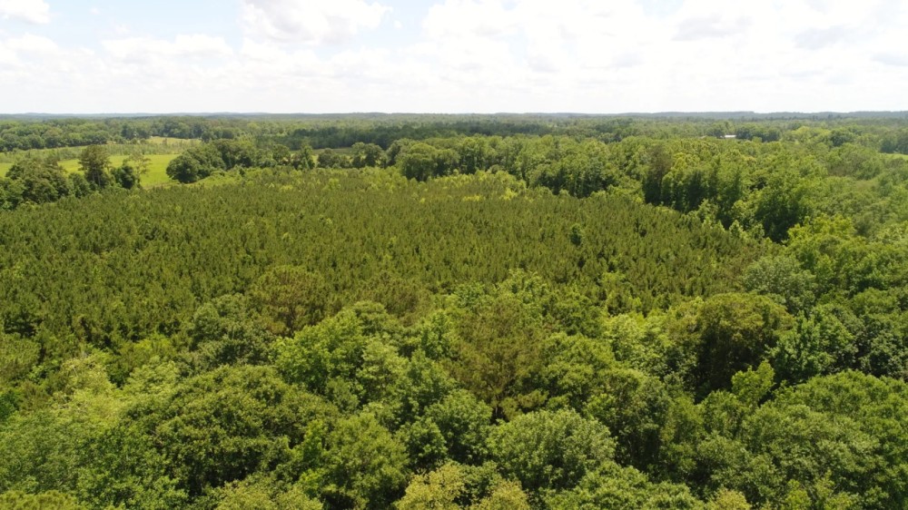 45 - acres Crenshaw Co featured image