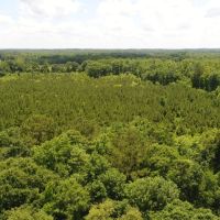 45 - acres Crenshaw Co