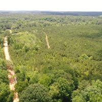 45 - acres Crenshaw Co images 3