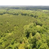 45 - acres Crenshaw Co images 4