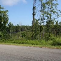 SU121112 Fayette Tract images 2